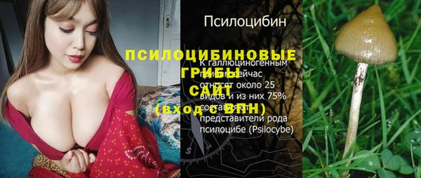 бошки Белоозёрский