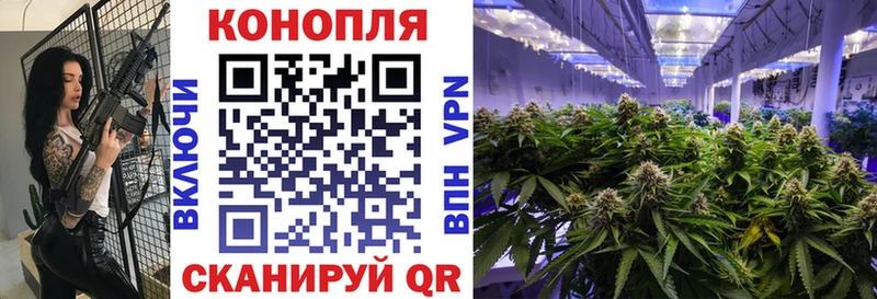 Шишки марихуана ГИДРОПОН Ясный
